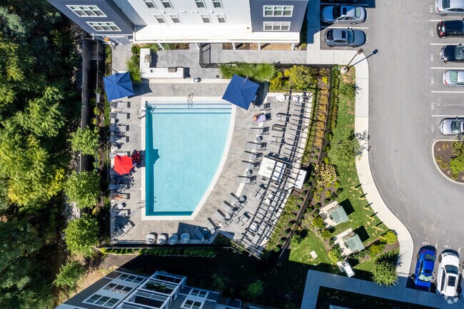 Área de la piscina - The Buckley Apartments