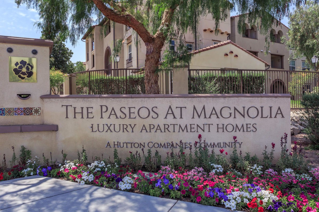 The Paseos at Magnolia Luxury Apartment Homes Photo