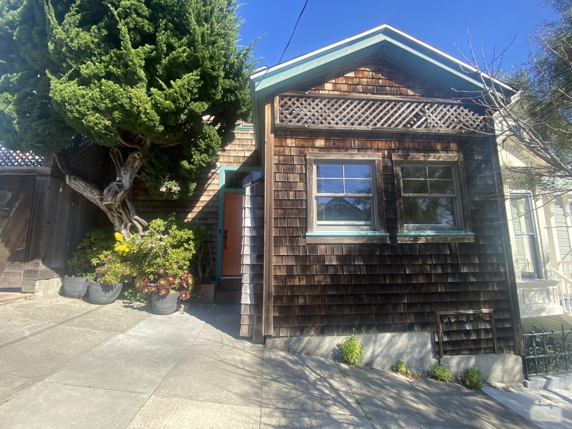Primary Photo - 113 Newman St