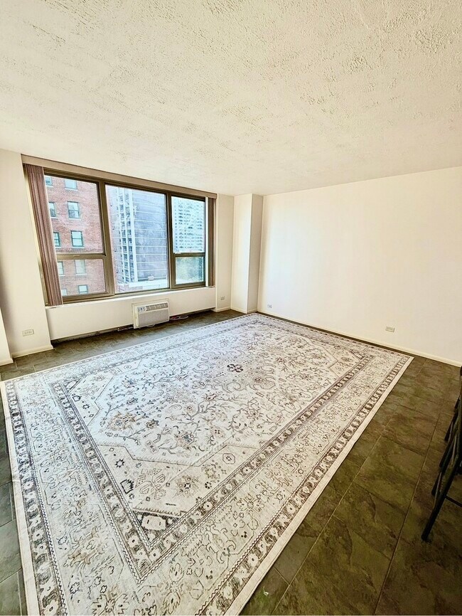 Foto del edificio - 1550 N Lake Shore Dr