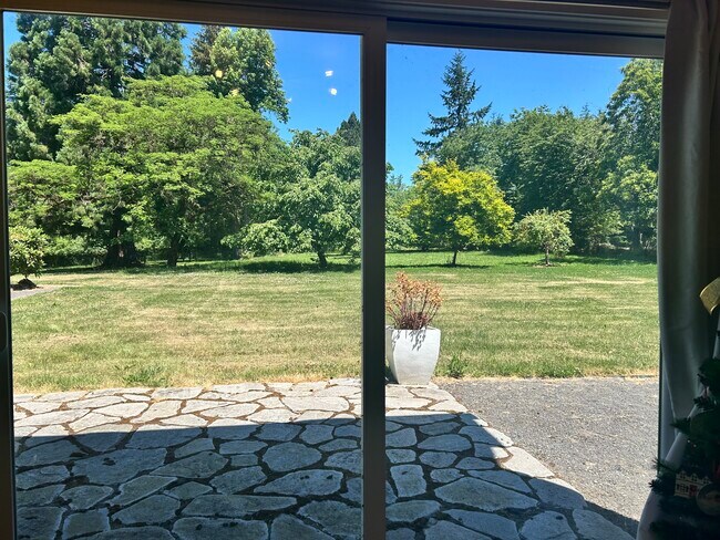 View from living room windows doors - 18650 Stafford Rd