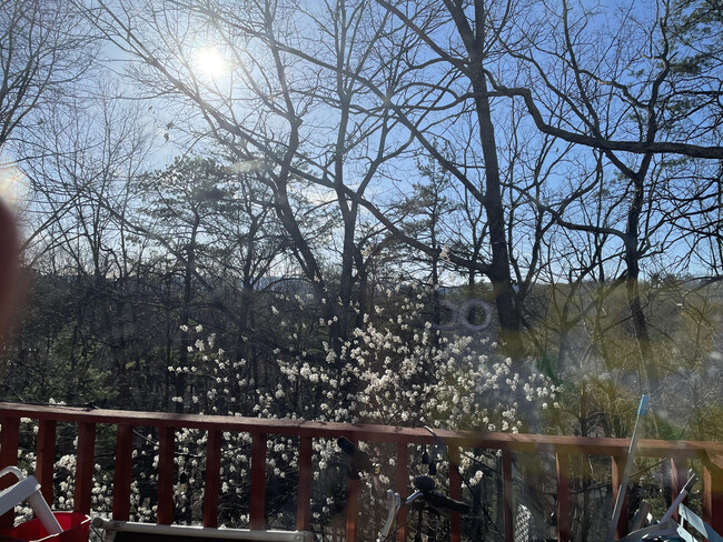 View from the balcony - 3359 Forest Ridge Rd