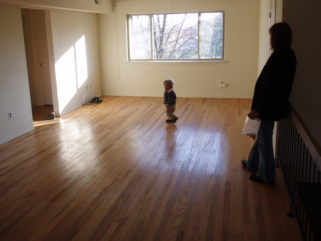 living room - 1706 Muriel Ct