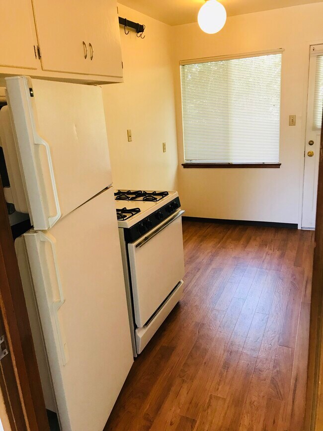 Kitchen - 1501 Carmel Dr