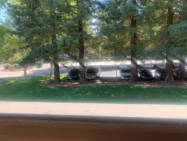 Photo - Beautiful upstairs condo with Washer and D...