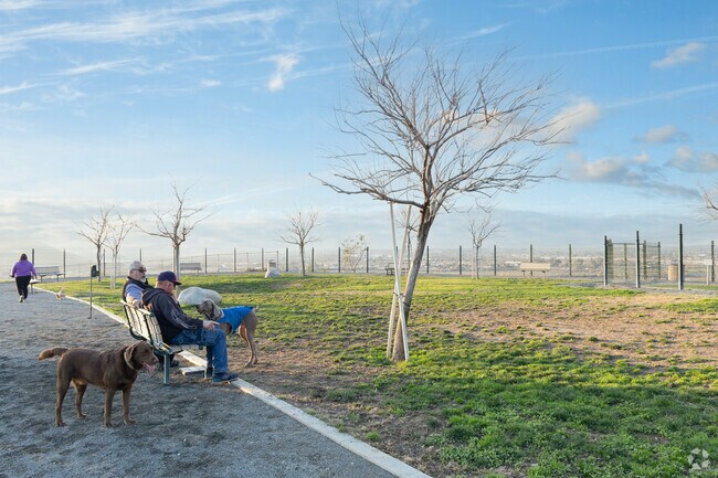 Owners and dogs enjoy a sunny day at the dog park in Grand Terrace.