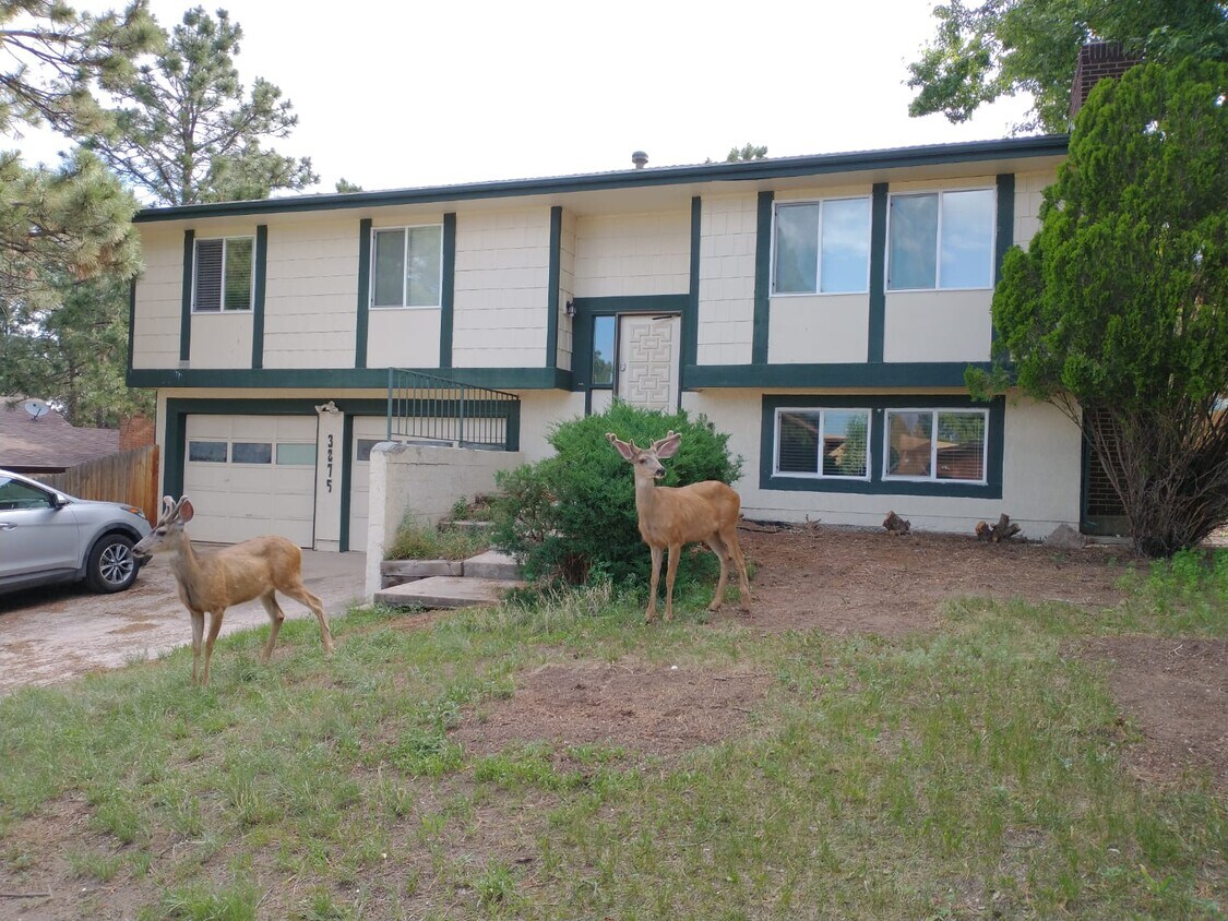 Front of Home - - 3275 Squaw Valley Dr