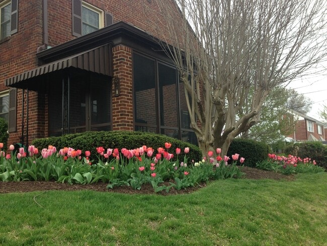 Ballston Common/VA Square Duplex - 621 North Oakland Street