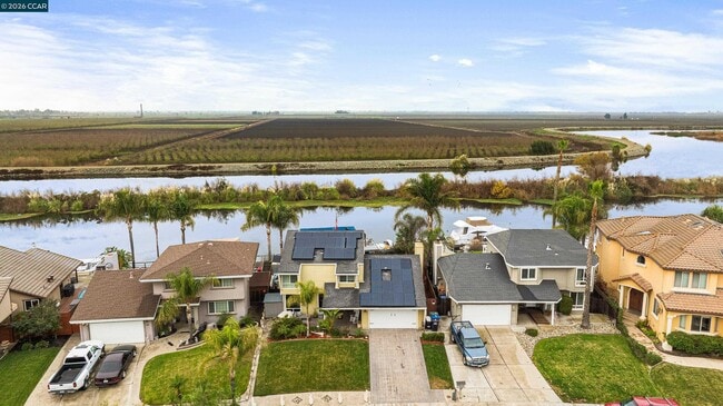 Building Photo - 500 Discovery Bay Blvd