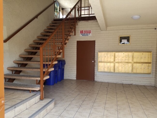 Interior Photo - El Romano Apartments