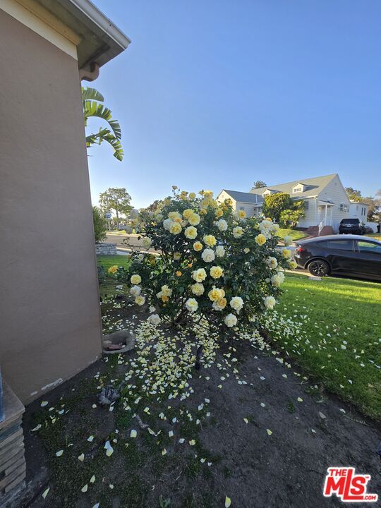 Building Photo - 4512 Chasar Pl