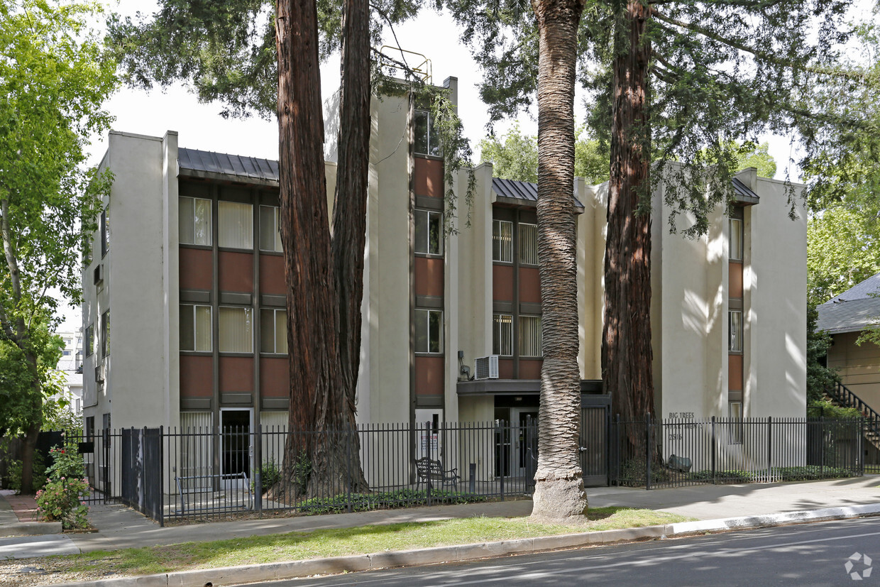 Primary Photo - Big Trees Apartments