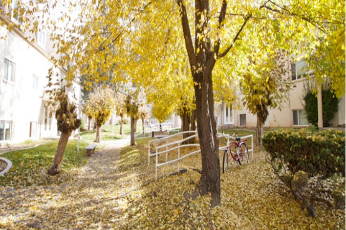 Primary Photo - Arbor Cove Apartments