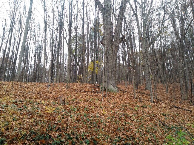 Foto del edificio - 5367 NY-7