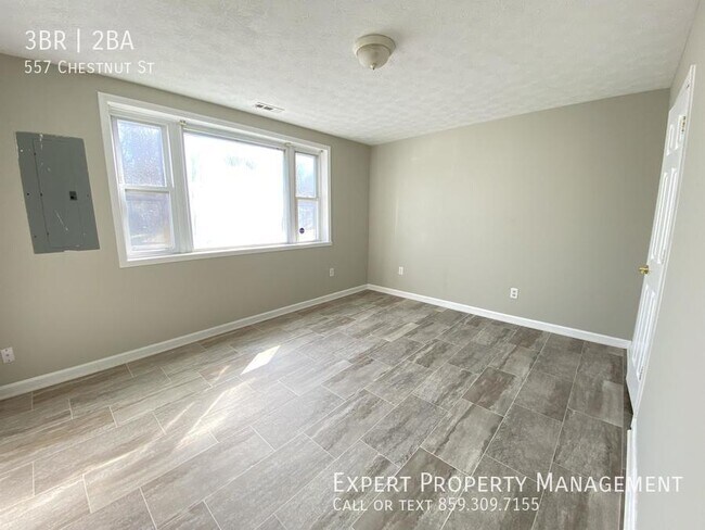 Building Photo - 557 Chestnut St