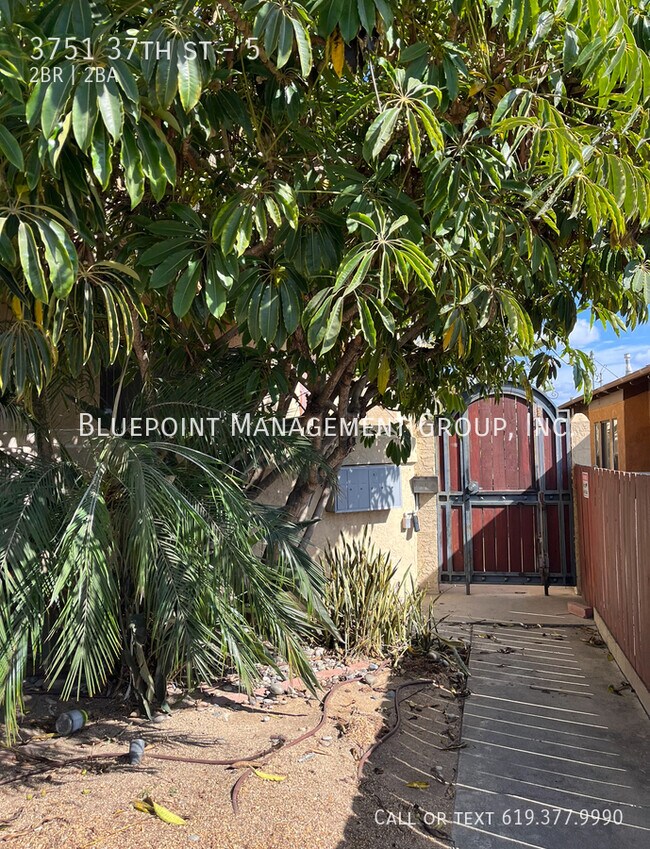 Building Photo - 3751 37th St