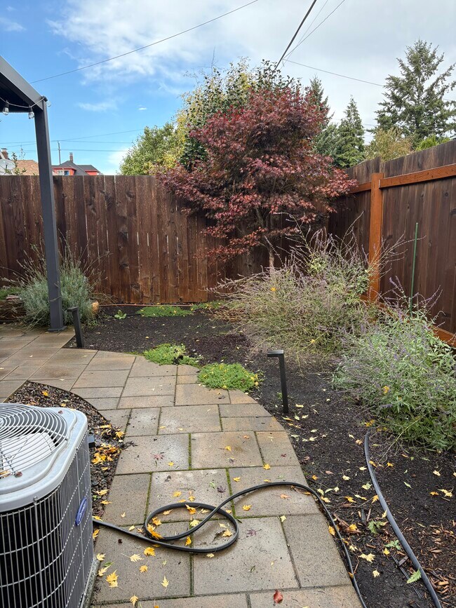 Camino desde el patio trasero hasta el jardín lateral - 321 N Mason St