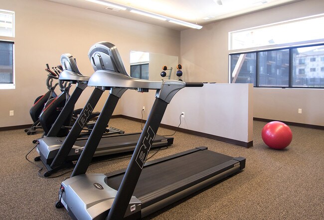 Gimnasio - Avenue 204