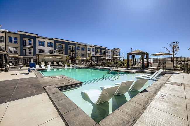 The Citizen on Constitution Pool - The Citizen on Constitution