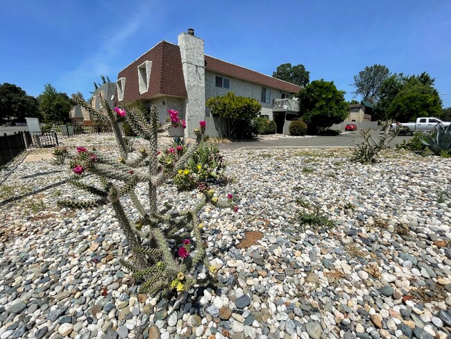 Building Photo - 680 Saginaw St
