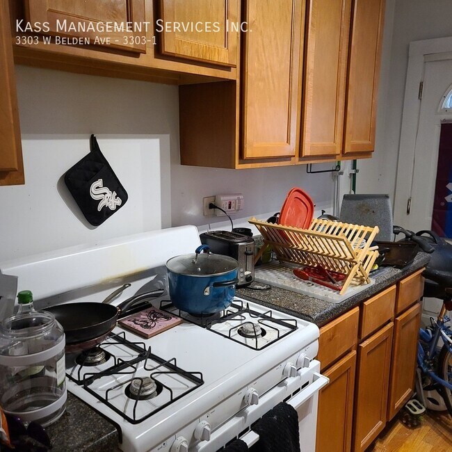 Building Photo - Huge Logan Square 2 Bed, Central Heat, Har...