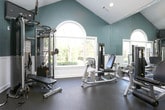This single-floor fitness center is thoughtfully divided into distinct workout zones, each designed to support a comprehensive exercise routine. The space is immediately distinguished by its teal and deep green wall color scheme, paired with white wainscoting that runs consistently throughout, lending a polished, cohesive aesthetic.

The cardio zone features a row of treadmills and an elliptical trainer positioned in front of a large bay window, allowing users to exercise with natural views of the surrounding greenery. A wall-mounted television adds entertainment options overhead. Recessed lighting throughout ensures consistent illumination across all areas.

The strength training zone is notably spacious, with vaulted ceilings that create an open, airy atmosphere. It houses multiple cable machines, a rack of dumbbells, weight benches, and additional resistance equipment. A large arched window floods this section with natural light and frames an attractive outdoor view. Full-length mirrors are strategically placed to assist with form and visually expand the space.

A separate room features additional strength machines alongside another arched window with garden views. The entry area includes a water cooler station, dark hardwood-style door with arched detailing, and recessed tray ceiling, providing a welcoming transition into the facility.