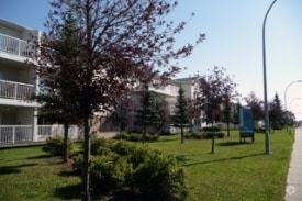Building Photo - Nova Manor