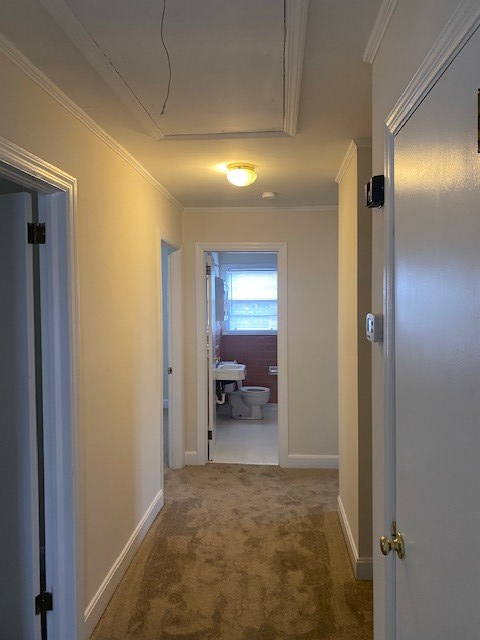 Building Photo - 232 Pinckney St