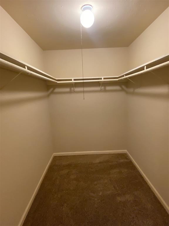 Building Photo - 13111 Maxim Dr