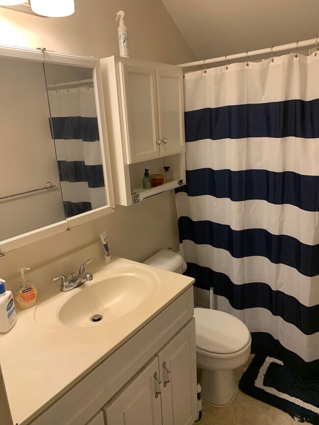 Bathroom - 207 S Cedar St