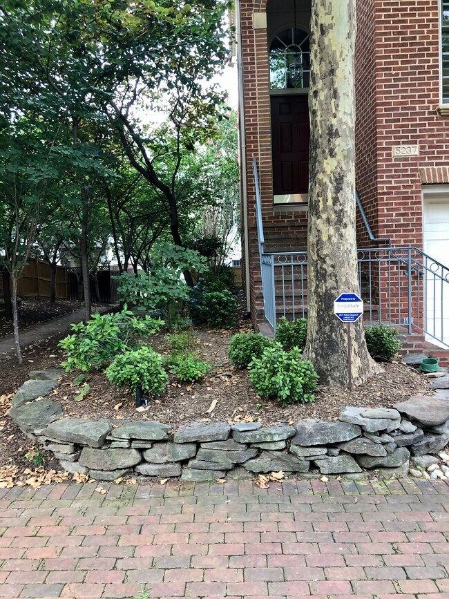 Side yard - 5237 Brawner Pl