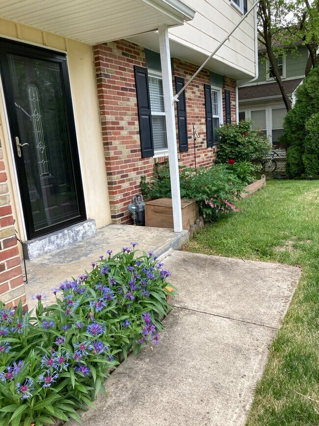 Building Photo - Updated 3 bedroom single family home in Ne...