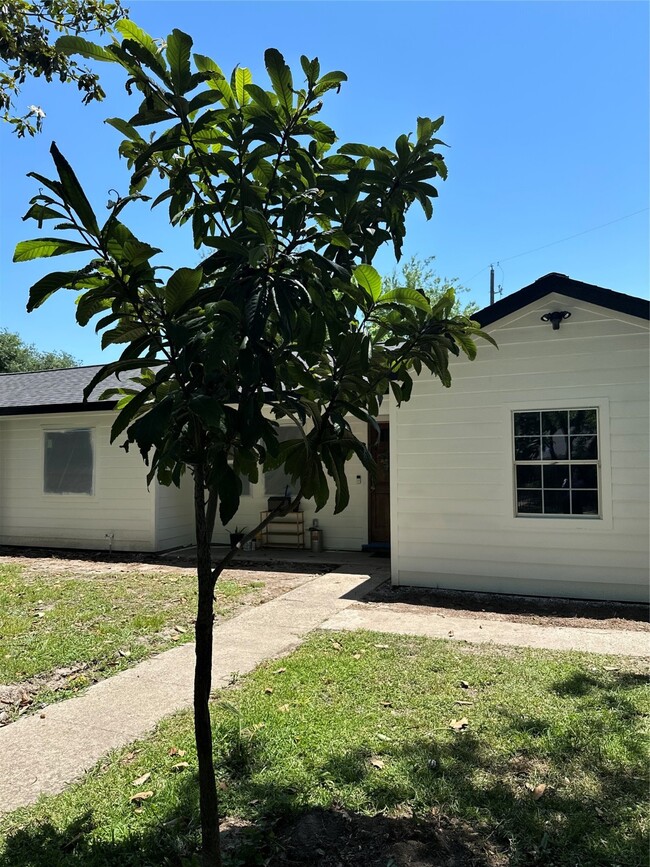 Building Photo - 32 Farrell St