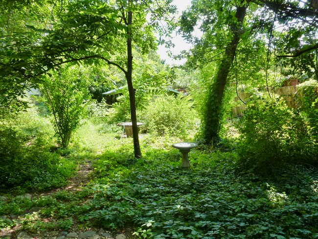 Green view out every window - 305 Brentwood St