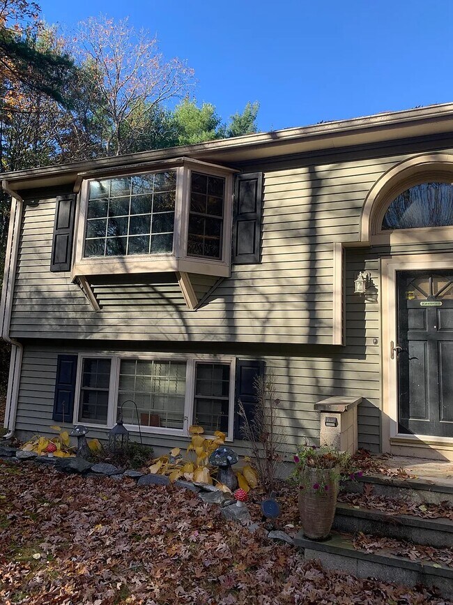 Foto del edificio - 19 Pine St