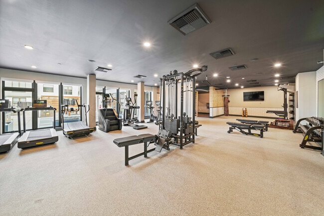 Gimnasio - Jayne