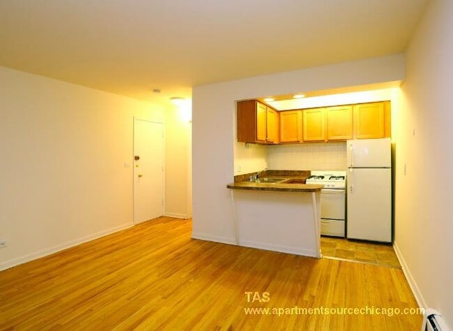 Photo - 540 West Roscoe Street #486 Apartment