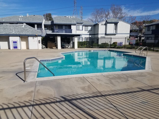 Shared Pool - 27640 Susan Beth Way