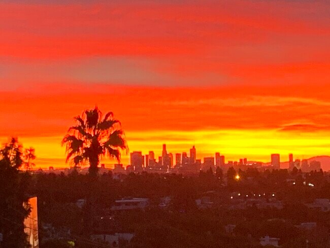 Amanecer en invierno - 8530 Holloway Dr