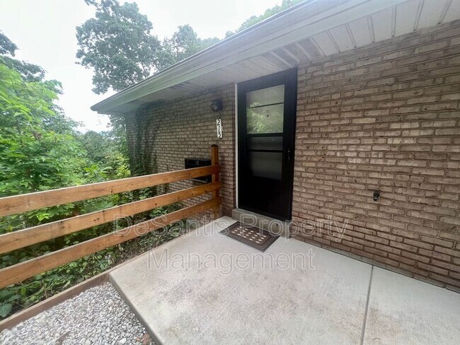 Building Photo - 215 Lunar Ln