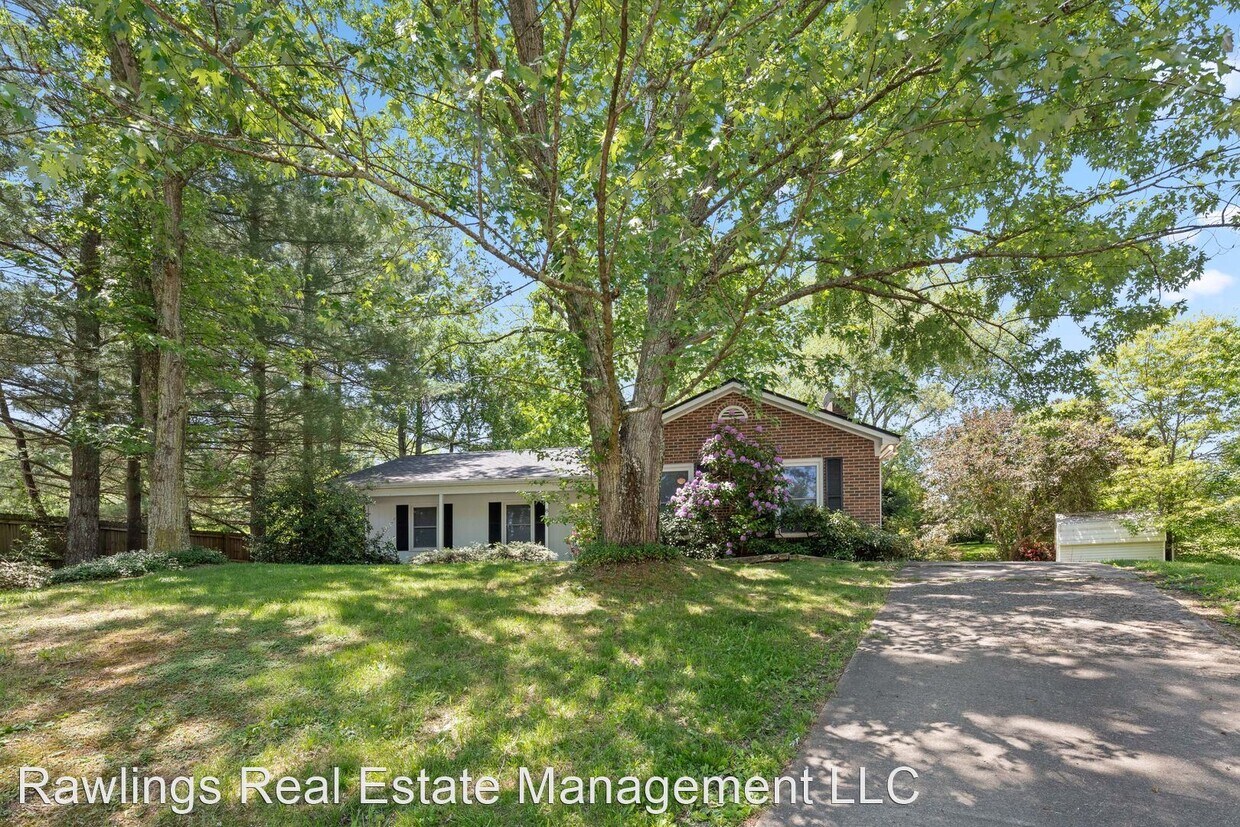 3 br, 2 bath House 8 David Court House Rental in Asheville, NC