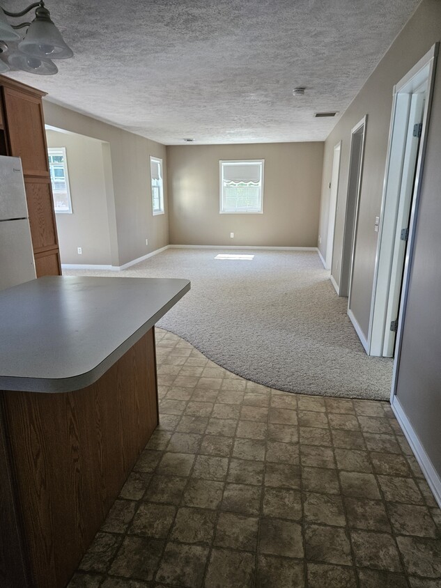 Open concept kitchen and living room - 316 W Main St