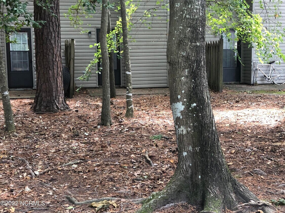 1929 Buxton Rd Unit F, Greenville, NC 27858 Room for Rent in