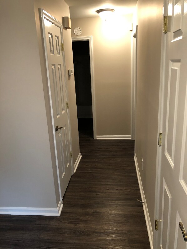 Foto del edificio - 5204 Amity Springs Dr