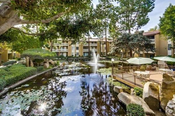 Estanque junto a la terraza - 1801 Diamond Street