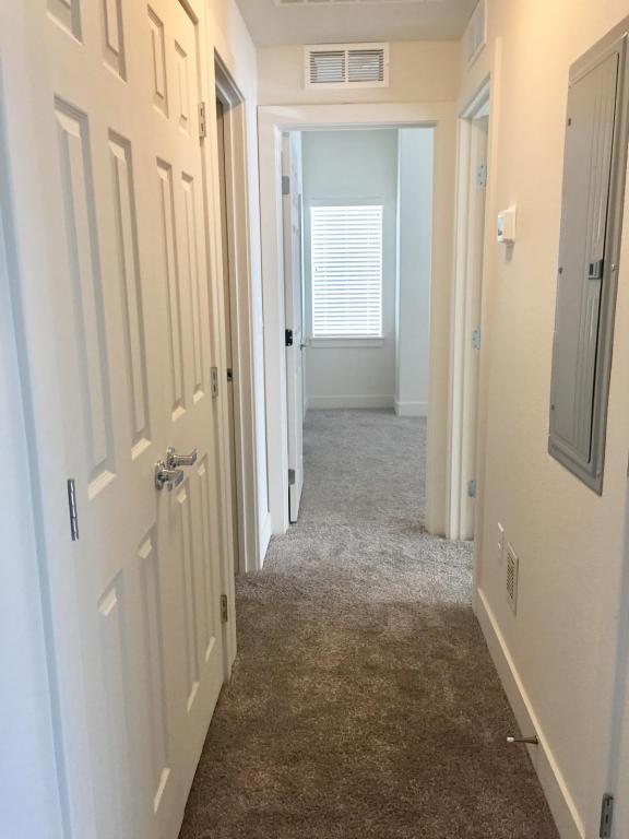 795 Durum St, Windsor, CO 80550 Condo for Rent in Windsor, CO