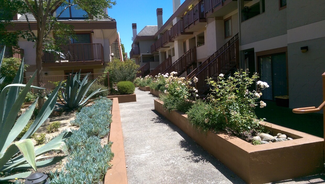 Primary Photo - 4159 El Camino Way