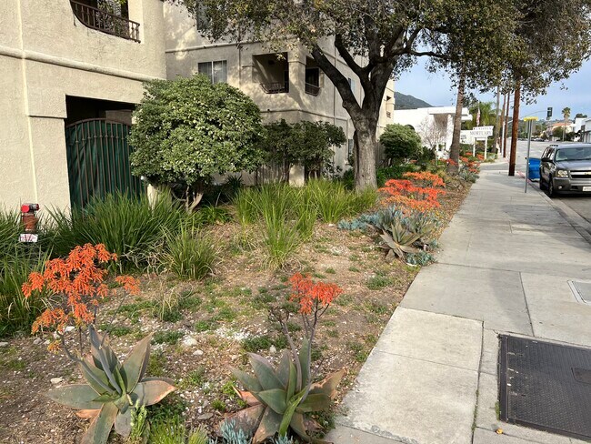 Foto del edificio - Twin Oaks Senior Apartments