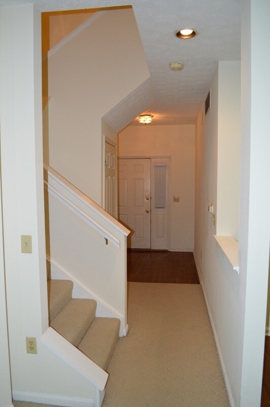 Foto del edificio - 8616 Timber Park Dr