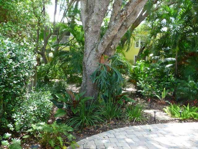 Building Photo - 1542 Sabal Ct